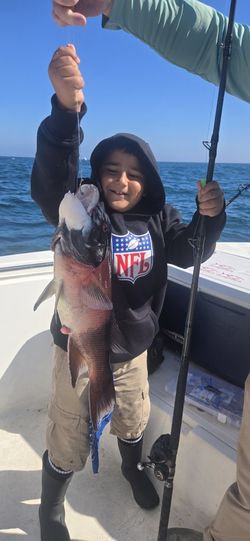 Need 2 To Fish Coronados