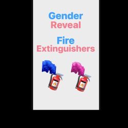 Gender Reveal Fire Extinguishers 