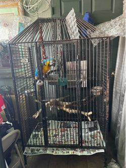 Cage