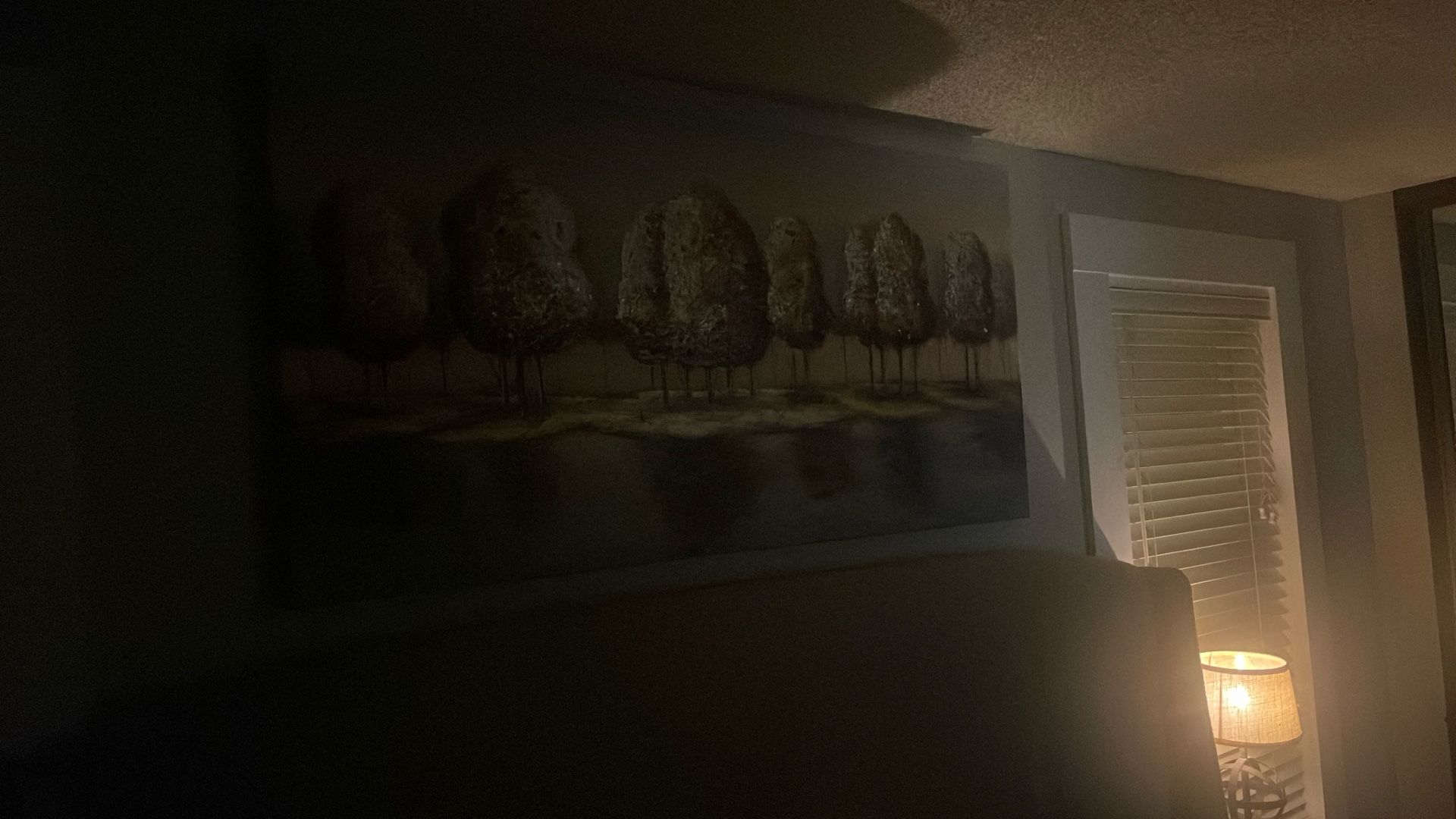 Hand Painted Canvas Art