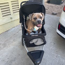 Dog Stroller (Front Wheel Defect) FREE Thumbnail