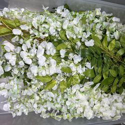 Wedding Silk Wisteria And More