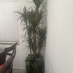 artificial plant