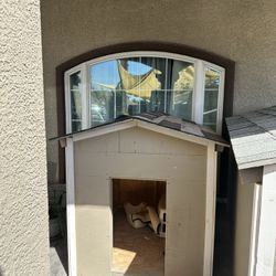 Dog House 