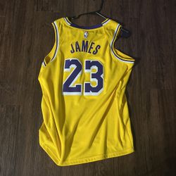 LeBron James Jersey 