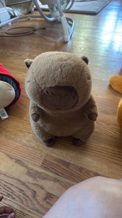 Capybara Plush