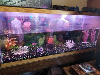 55 gallon fish tank with extras