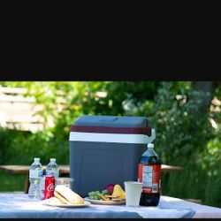 Portable Electric Cooler