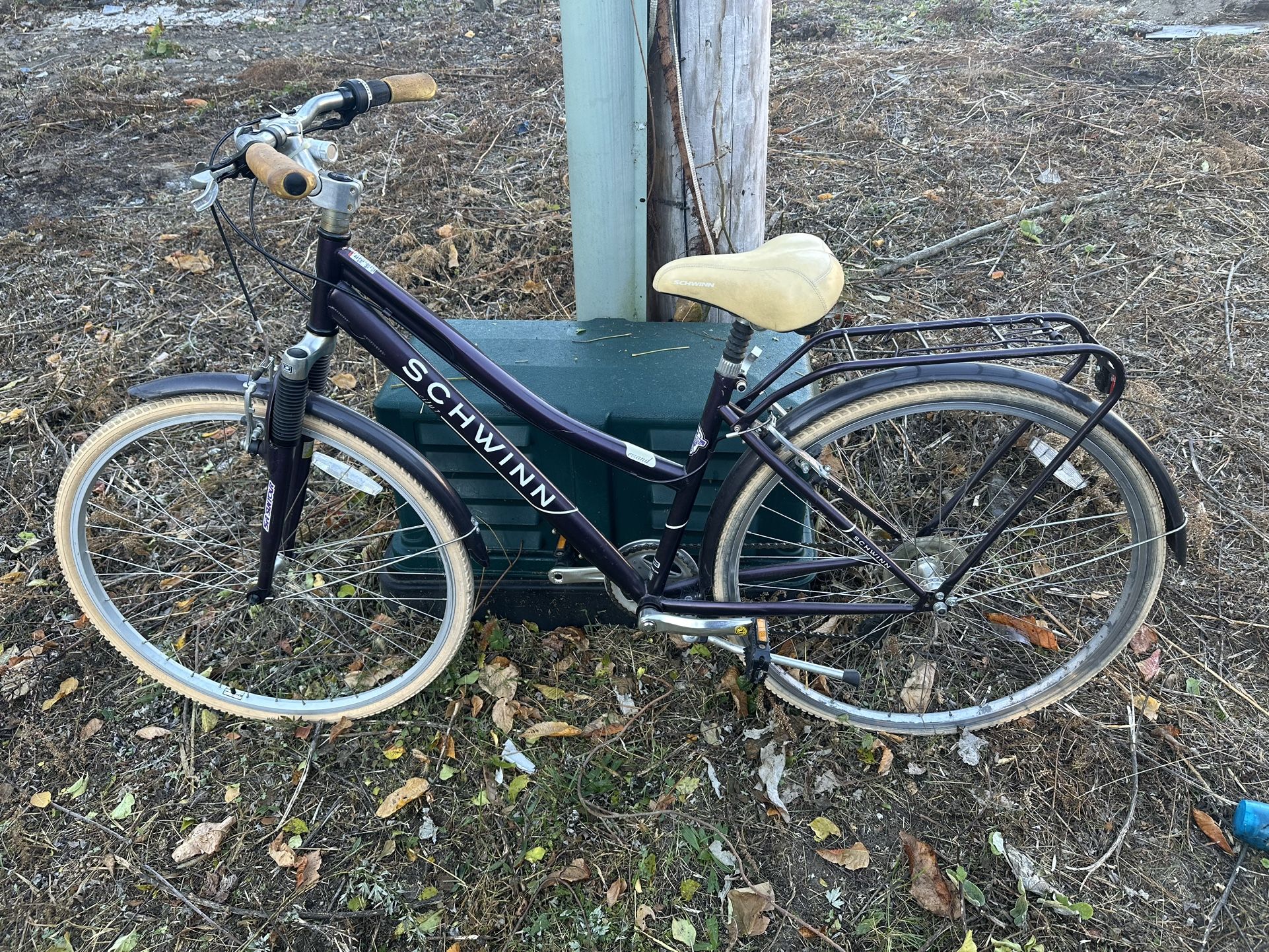 Schwinn Bike Set