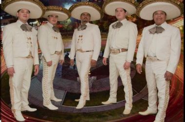 Violin guirarron mariachi