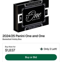 24-25 One and One panini Hobby Box