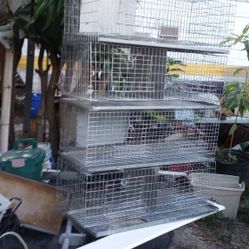 Bird Cages