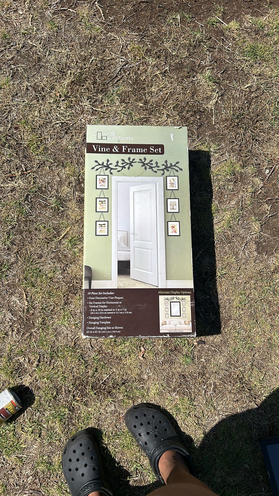 Vine & Frame Set
