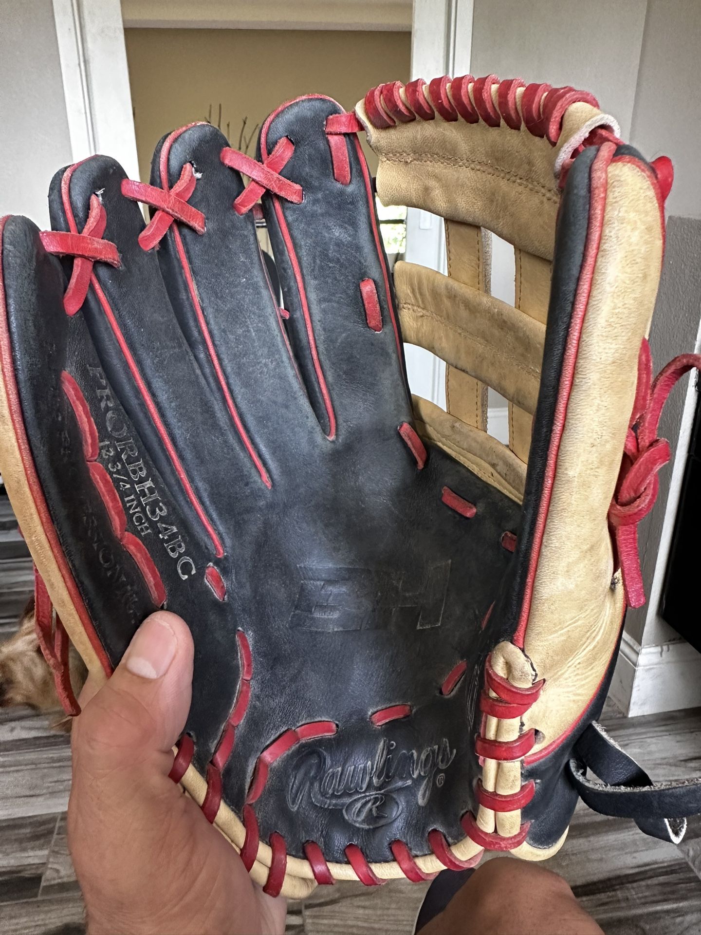 Rawlings “The Gold Glove”