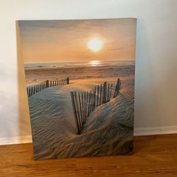3 Foot X 5 Foot Tall Beach Canvass Print