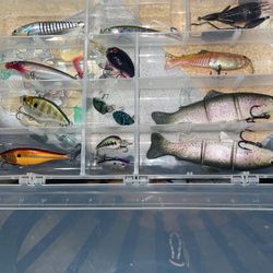 I’m Taking Lures Offer