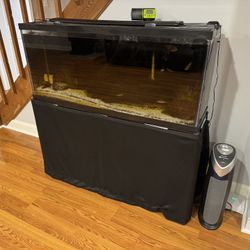 55 Gallon Fish Tank And Stand