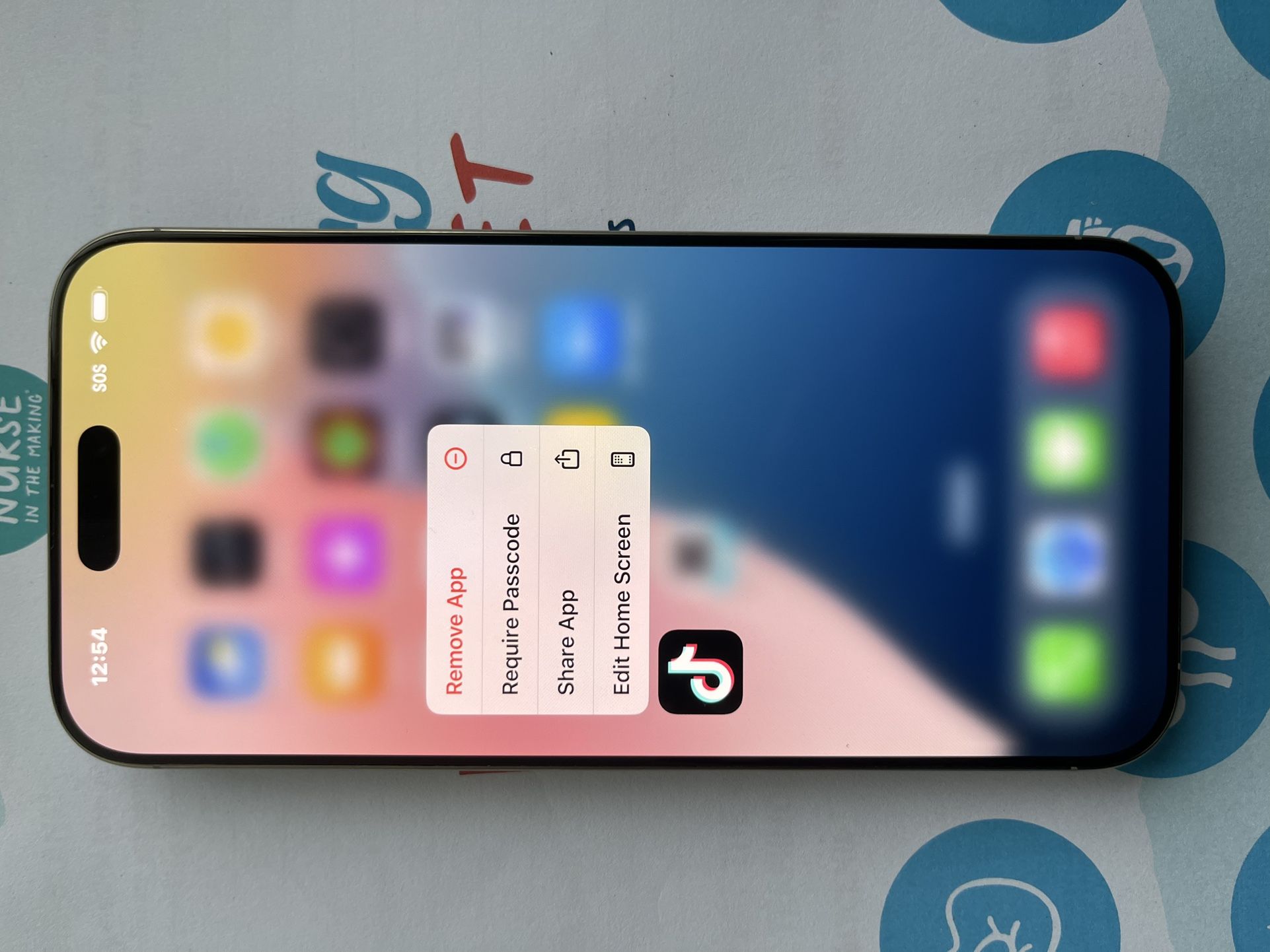 iPhone 16 Pro Max 256GBs