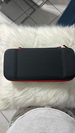 Nintendo Case
