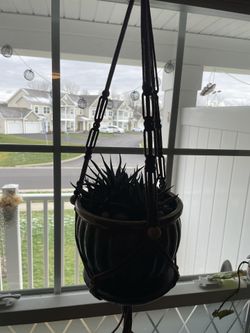 Macrame Plants Hanger