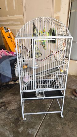 Bird cage
