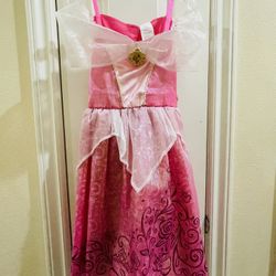 Disney Princess Aurora Costume