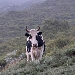 Mix Large Bags Of Clothes 