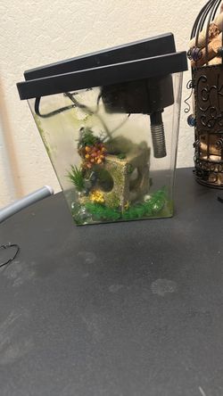 Fish tank