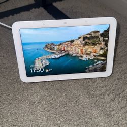 Google Nest Hub 2nd gen