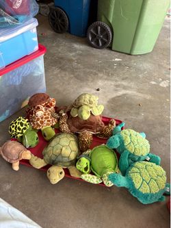 13. Stuffed turtles.