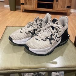 Nike LeBron Witness 6 TB White Black 