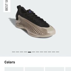 Anthony Edwards Shoes Sz9