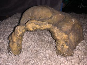 Reptile rock cave