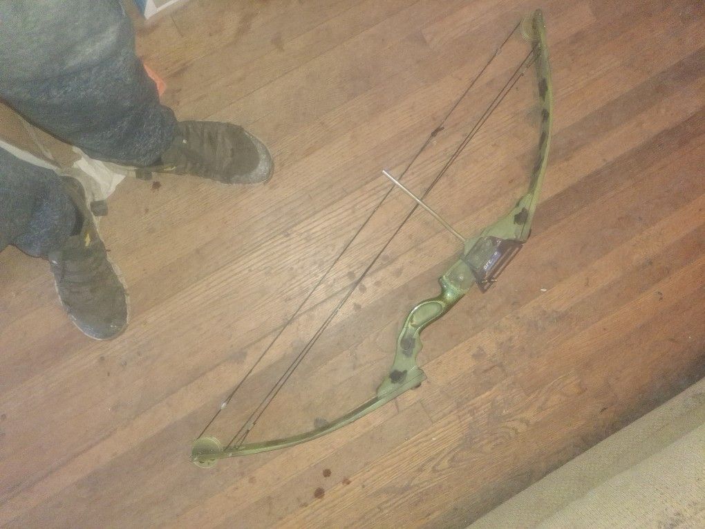 Compound Bow