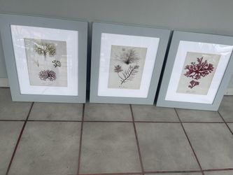 Cuadros De Potterybarn