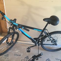 Northpoint Bike For Tall People