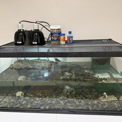 Turtle Tank