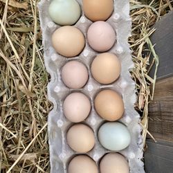 Farm Fresh Eggs $5 will Deliver 8-9 Dozen Available Lemoore Hanford  