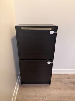 Black Shoe Cabinet with Flip Doors