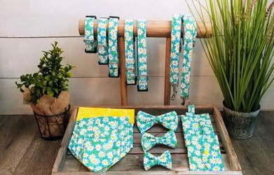 Dog collars , poop bag holders