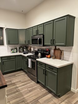 Professional Painting/Painter