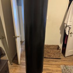 Punching bag and gloves