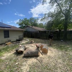 GOOD PRICE ON 🌳🌳Removal 