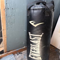 Boxing Punching Bag Everlast