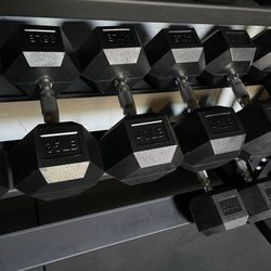 5-50lbs Dumbbells w/Rack 