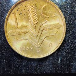 Coin