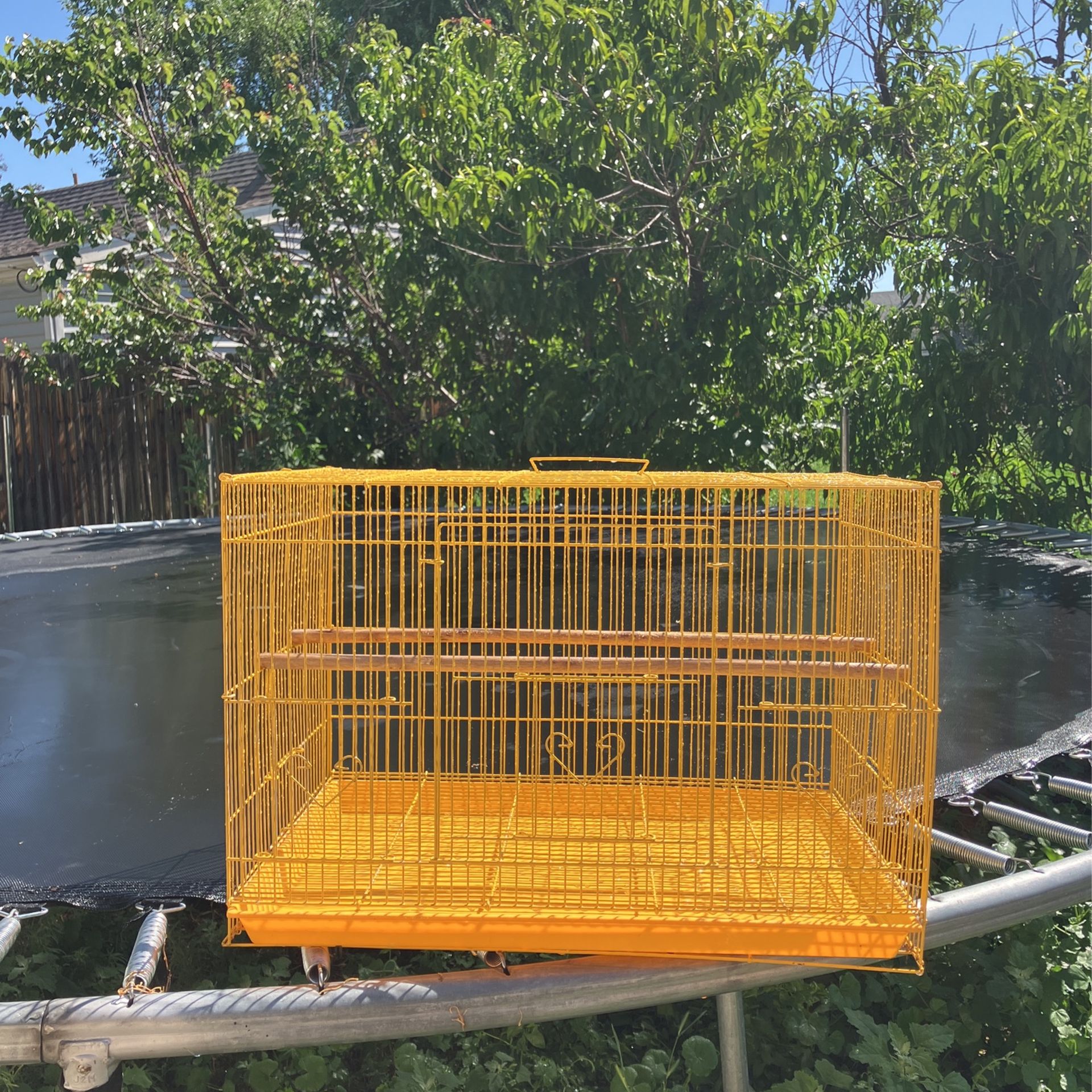Bird Cage