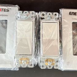 Enerlites Silver Decorator Light Switch &  Screwless Wall Plate
