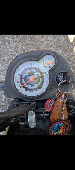 Honda Navi 2022