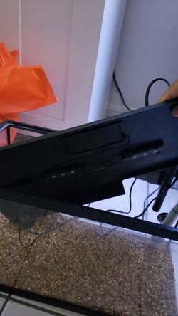 10 g